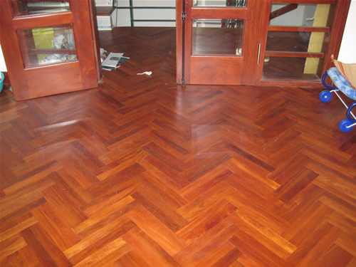 san-go-tu-nhien-cam-xe-xuong-ca