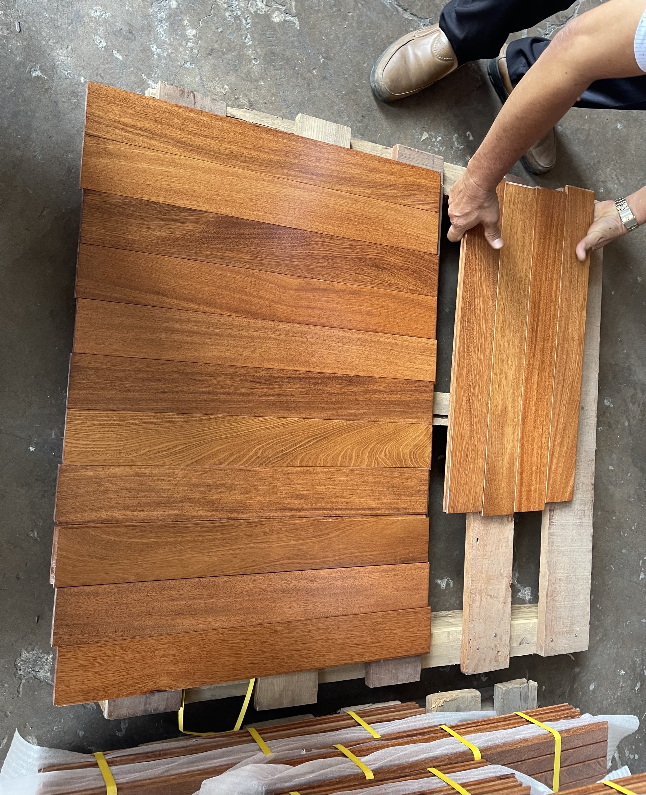 z5426638730306_531f7311848168612917cf19a7ae04e1